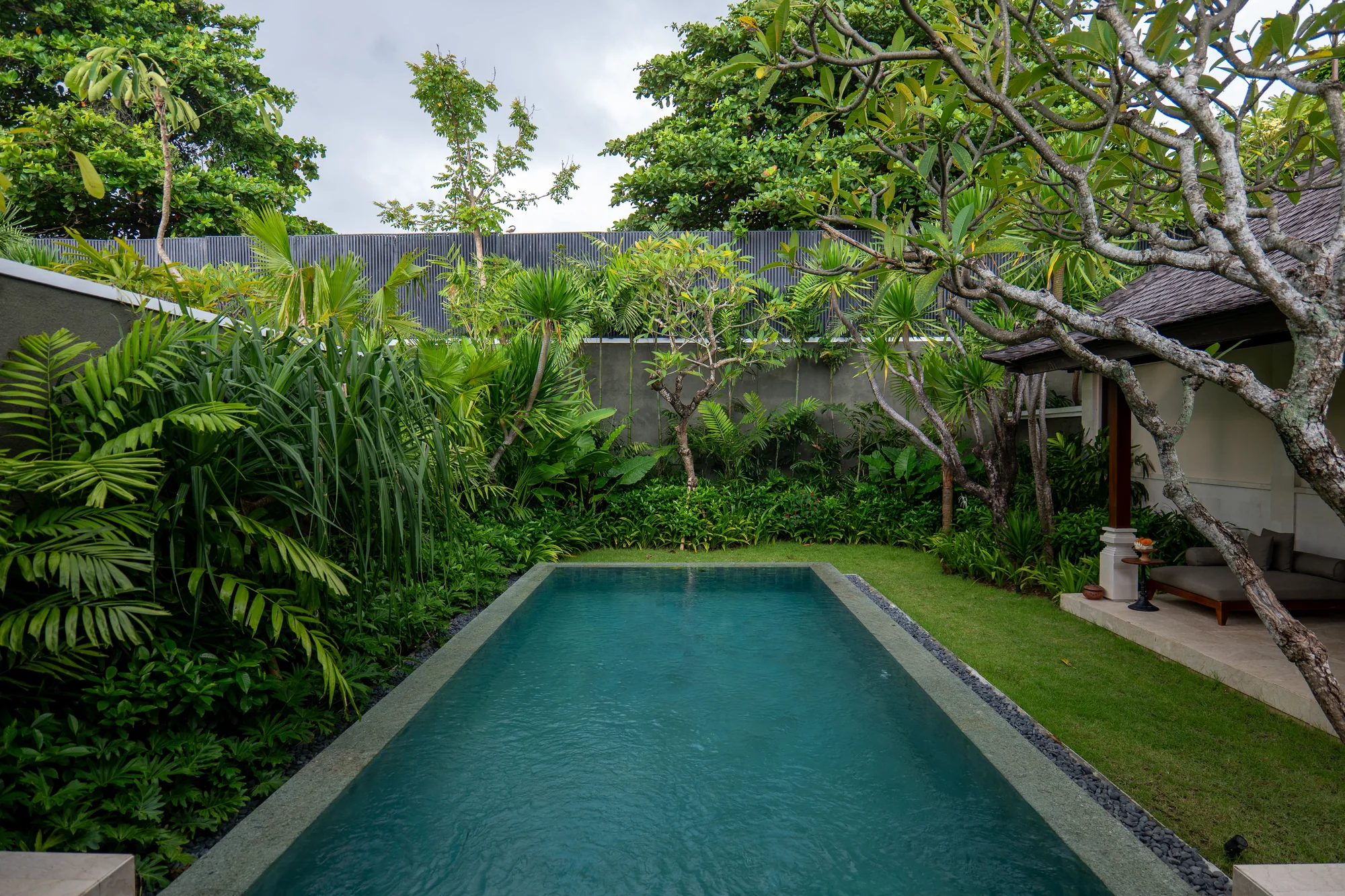 Inspirasi kolam renang taman tropis