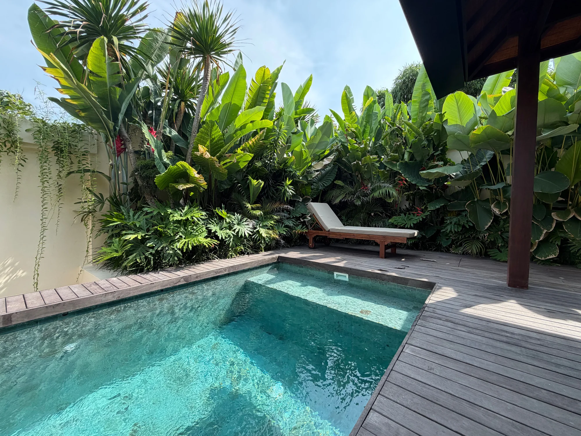 Inspirasi plunge pool tropis